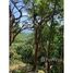  Terrain for sale in Roatan, Bay Islands, Roatan