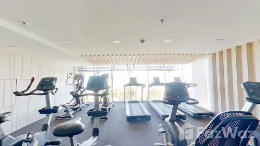 3D-гид of the Communal Gym at Cetus Beachfront