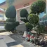 5 Bedroom House for rent at Baan Rungaroon 3, Hang Dong, Chiang Mai, Thailand