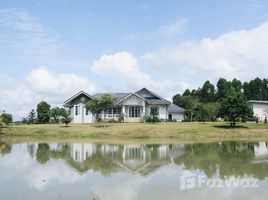 3 Schlafzimmer Haus zu verkaufen in Phaya Mengrai, Chiang Rai, Mengrai, Phaya Mengrai, Chiang Rai