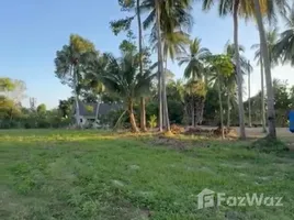 ขายที่ดิน ใน ลิปะน้อย, สุราษฎร์ธานี, ลิปะน้อย, เกาะสมุย