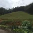  Terrain for sale in Pa Khlok, Thalang, Pa Khlok