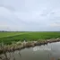  Land for sale in Ban Ko, Phra Nakhon Si Ayutthaya, Ban Ko, Phra Nakhon Si Ayutthaya, Phra Nakhon Si Ayutthaya