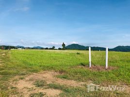  Grundstück zu verkaufen im The Nature Petchaboon, Yang Ngam, Nong Phai, Phetchabun