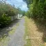  Land for sale at Land Plot Tala in Rawai, Rawai