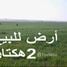  Grundstück zu verkaufen in El Jadida, Doukkala Abda, Azemmour, El Jadida, Doukkala Abda