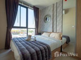 คอนโด 1 ห้องนอน ให้เช่า ในโครงการ นิว โนเบิล เซ็นเตอร์ บางนา, บางนา, บางนา, กรุงเทพมหานคร, ไทย