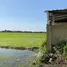  Grundstück zu verkaufen in Nong Yaeng, Chiang Mai, Nong Yaeng, San Sai