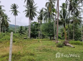 ขายที่ดิน ใน ขนอม, นครศรีธรรมราช, ขนอม, ขนอม, นครศรีธรรมราช, ไทย