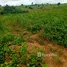  Terreno (Parcela) en venta en Gomoa, Central, Gomoa
