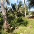  Grundstück zu verkaufen in Selong Belanak, Lombok, Selong Belanak, Lombok Tengah