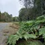  Grundstück zu verkaufen in Puerto Montt, Los Lagos, Puerto Montt, Llanquihue, Los Lagos