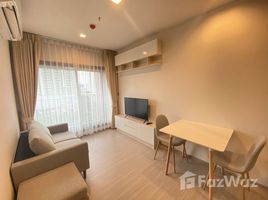 1 Schlafzimmer Wohnung zu vermieten im Life Asoke Hype, Makkasan