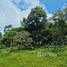  Land for sale in Limon, Guacimo, Limon