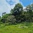  Terrain for sale in Guacimo, Limon, Guacimo