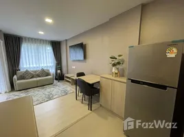 คอนโด สตูดิโอ ให้เช่า ในโครงการ ดีคอนโด แซนด์, คอหงส์, หาดใหญ่