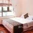 Studio Chung cư for rent at Hoàng Anh Gia Lai 1, Tân Quý, Quận 7