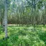  Land for sale in Bang But, Rayong, Bang But, Ban Khai, Rayong, Thailand