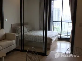 คอนโด 1 ห้องนอน ให้เช่า ในโครงการ เอ็ม จตุจักร, จอมพล