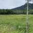  Land for sale in Pa Khlok, Thalang, Pa Khlok