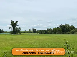 ขายที่ดิน ใน หนองแก้ว, ศรีสะเกษ, หนองแก้ว, เมืองศรีสะเกษ