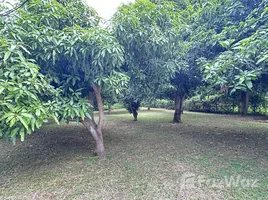 ขายที่ดิน ใน สามร้อยยอด, หัวหิน, สามร้อยยอด, สามร้อยยอด