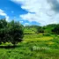  Terreno (Parcela) en venta en Terok Aik Belik, Lombok, Terok Aik Belik