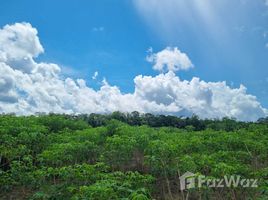  Terrain for sale in Amazonas, Tefe, Tefe, Amazonas