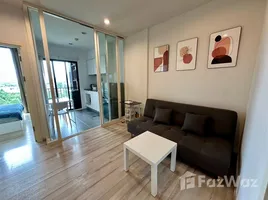 在The Base Uptown租赁的1 卧室 住宅, Ratsada, 普吉镇, 普吉, 泰国