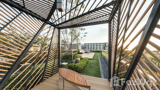 图片 1 of the Communal Garden Area at Autumn Condominium