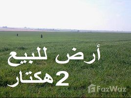 N/A Land for sale in Azemmour, Doukkala Abda بقع أرضية محفظة للفلاحة نواحي إثنين هشتوكة
