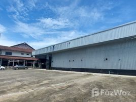  Warehouse for rent in Thailand, Rawai, Phuket Town, Phuket, Thailand