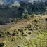 Terrain à vendre à Gral Leonidas Plaza Gutierrez, Morona Santiago, Gral Leonidas Plaza Gutierrez, Limon Indanza