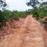  Terreno for sale in Brasil, Silves, Amazonas, Brasil