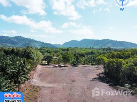 ขายที่ดิน ใน โคกกลอย, พังงา, โคกกลอย, ตะกั่วทุ่ง