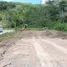 ขายที่ดิน ใน กมลา, ภูเก็ต, กมลา, กะทู้
