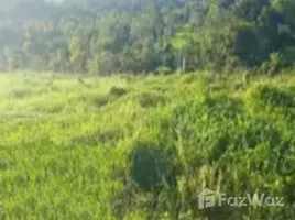  Terreno for sale in Pará, Belém, Pará