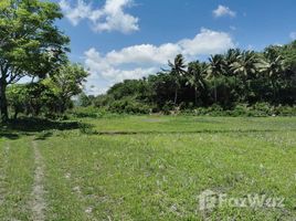  Land for sale in East Nusa Tenggara, Sumba Barat, East Nusa Tenggara