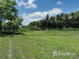  Grundstück zu verkaufen in Sumba Barat, East Nusa Tenggara, Sumba Barat, East Nusa Tenggara