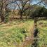  Terrain for sale in Santa Cruz, Guanacaste, Santa Cruz