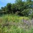  Land for sale in Liberia, Guanacaste, Liberia