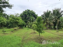 ขายที่ดิน ใน ทับคาง, เพชรบุรี, ทับคาง, เขาย้อย