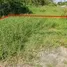  Terreno (Parcela) en venta en Chon Buri, Ban Chang, Phanat Nikhom, Chon Buri