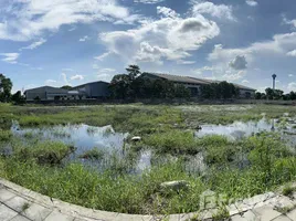 ขายที่ดิน ใน หอมเกร็ด, นครปฐม, หอมเกร็ด