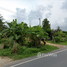  Land for sale in Si Sunthon, Thalang, Si Sunthon