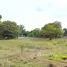 2 Bedroom House for sale in Non Thai Nakhon Ratchasima, Dan Chak, Non Thai, Nakhon Ratchasima