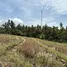 在Tabanan, 里岛出售的 土地, Balian, Tabanan