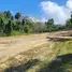  Grundstück zu verkaufen im Puerto Plata, San Felipe De Puerto Plata