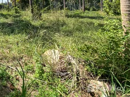  Terreno (Parcela) en venta en Mae Ramphueng, Hua Hin, Mae Ramphueng, Bang Saphan