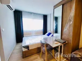 1 Bedroom Condo for rent at Plum Condo Sukhumvit 97.1, Bang Chak, Phra Khanong, Bangkok